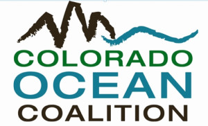 Screen Shot 2015-11-03 at 2.11.50 PM