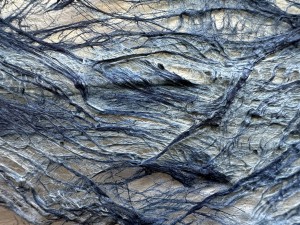 IMG_4576