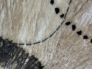 IMG_7229