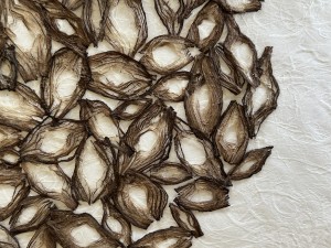 IMG_7397